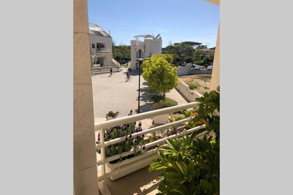 La Suite Sul Borgo Fregenae Extérieur photo